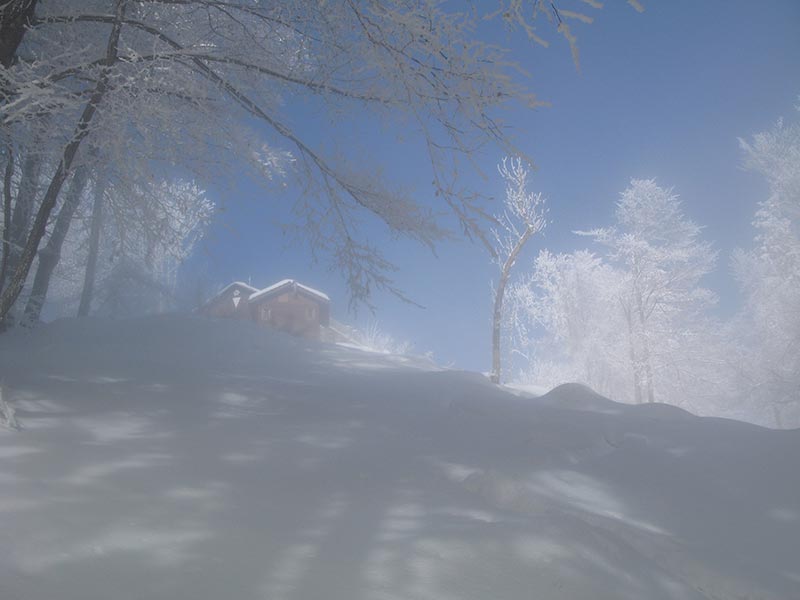 Aus dem Nebel in die Sonne